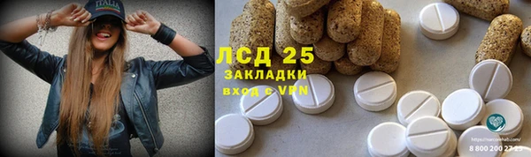 spice Елабуга