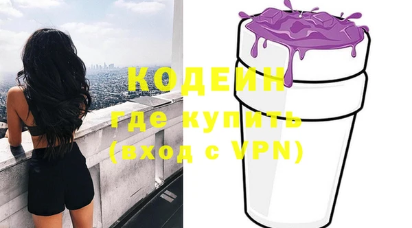 шишки Аркадак