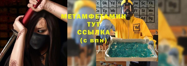 шишки Аркадак