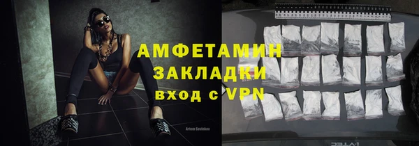 шишки Аркадак