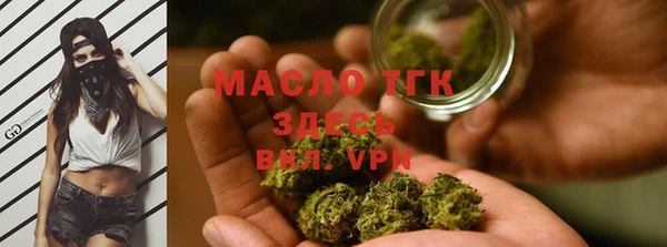 твердый Арсеньев