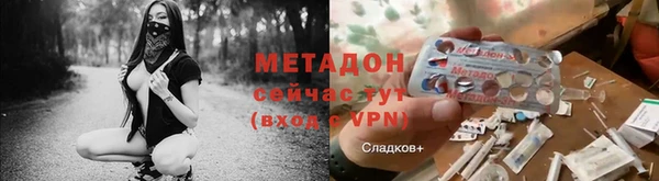 шишки Аркадак