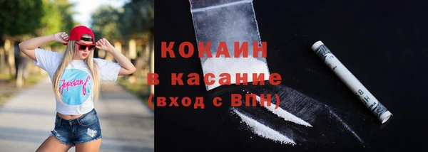 шишки Аркадак