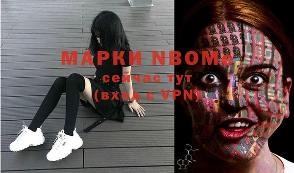 шишки Аркадак