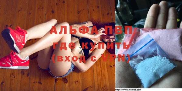 твердый Арсеньев