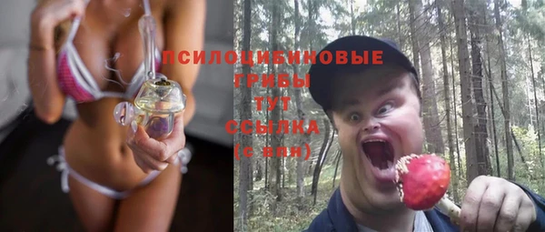 твердый Арсеньев