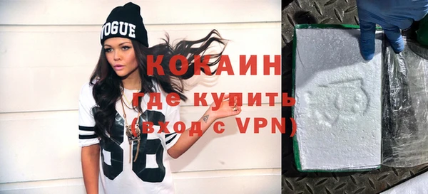 шишки Аркадак