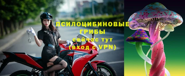 твердый Арсеньев